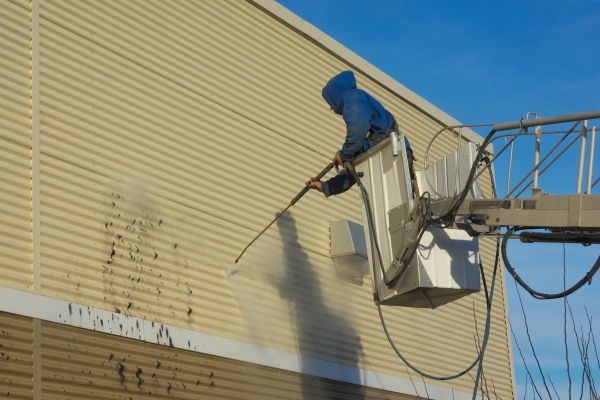 Cladding Cleaning in Auburn