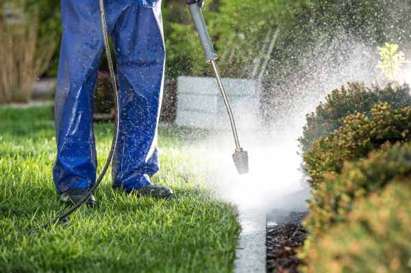 Curb Cleaning in Auburn