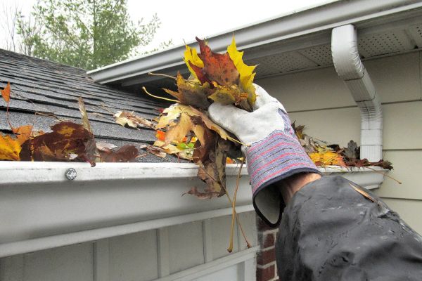 Eaves Cleaning in Auburn