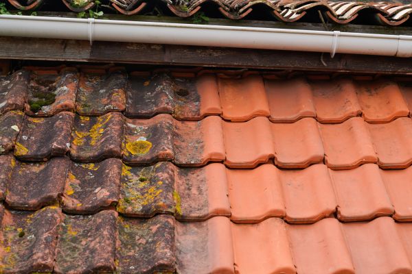 Industrial Roof Cleaning in Auburn